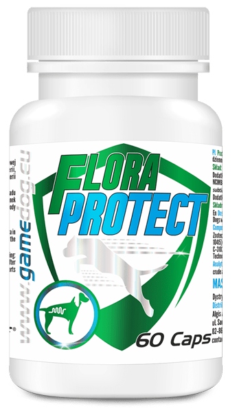 Game Dog Flora Protect 60 kapsułek mikroflora jelitowa