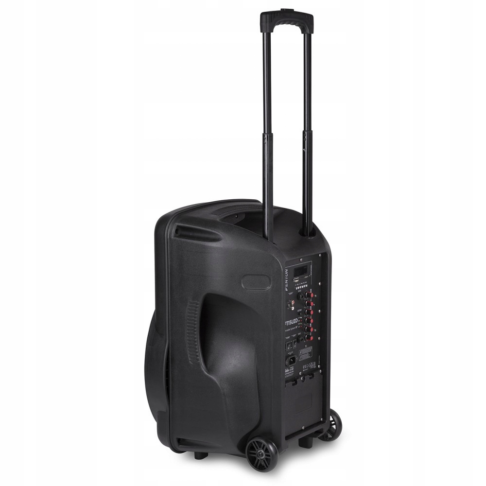 Kolumna aktywna FT15LED Moc znamionowa RMS 100 W