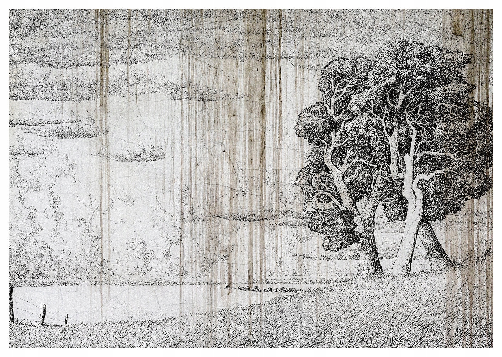 Fototapeta Klidný les Monochromatická grafika Příroda 208x146 lepidlo