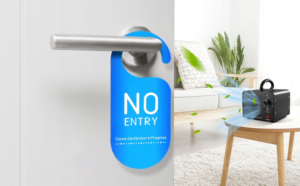 GENERATOR OZONU OZONATOR PROFESJONALNY 60000mg/h Marka Rilbstix