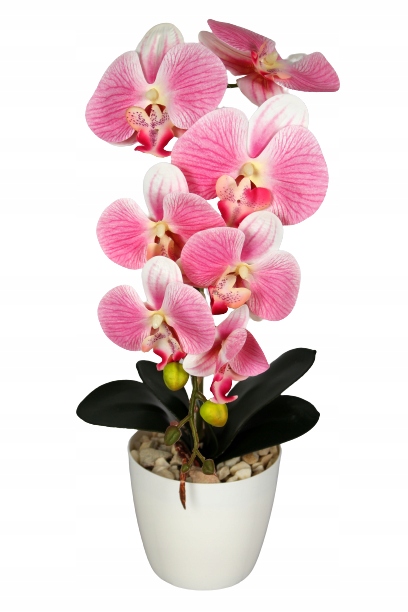 

Storczyk Sztuczny Orchidea Kwiaty Silikonowy