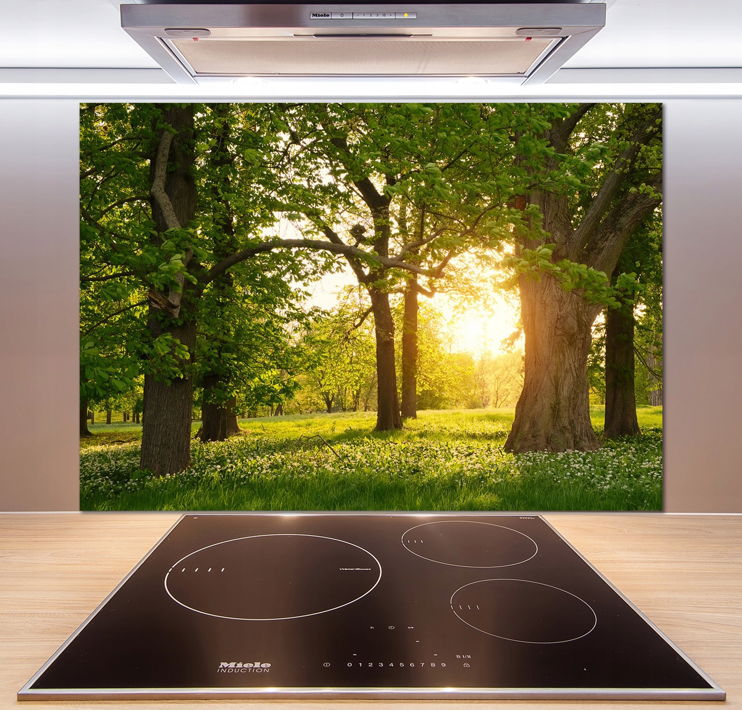 

Panel do kuchni Drzewa w parku 100x70 cm + Klej