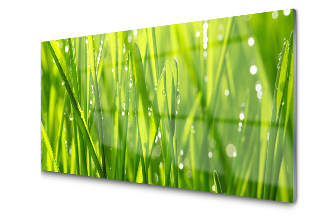 

Panel szklany Płytka Trawa Roślina 120x60 + Klej