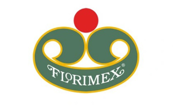 OSŁONA SILNIKA DOLNA VW PASSAT B5 FL 00-05 SPINKI Typ samochodu Samochody osobowe