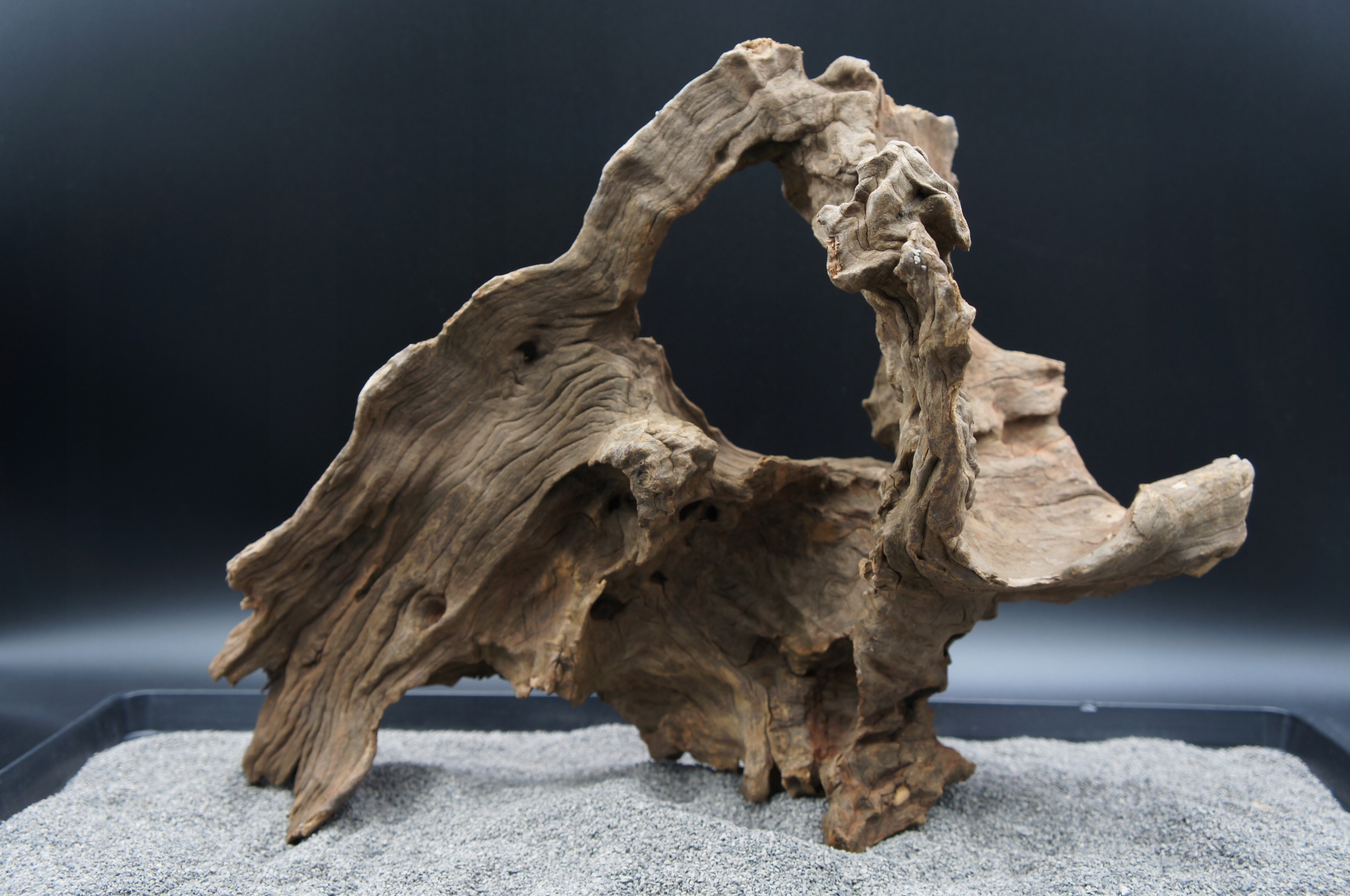 Levně Kořen pro terarijní akvárium jagged wood 42 cm Ten, Který Je Na Fotografii (J25)