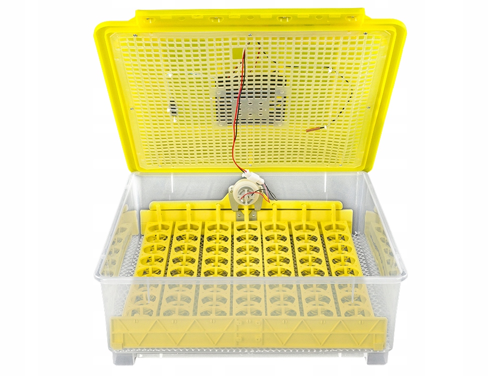 TACA automatyczna do INKUBATORA DINO 56 JAJA BAŻANCIE PRZEPIÓRCZE GOŁĘBIE Kod producenta DT56