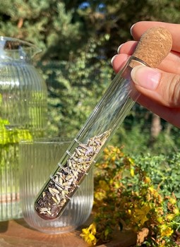 SZKLANY ZAPARZACZ SITKO DO PARZENIA HERBATY ZIÓŁ Materiał szkło