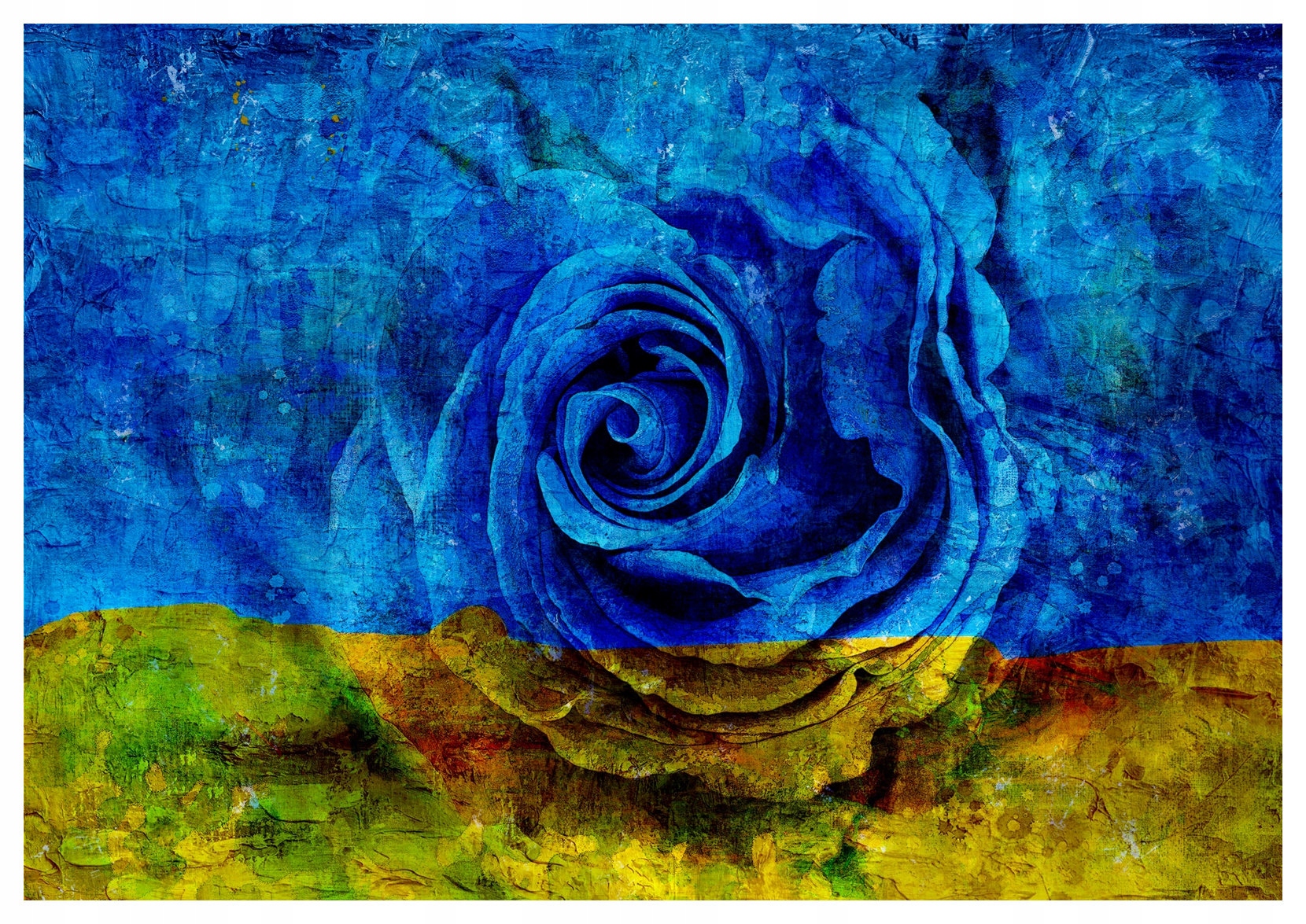 Fototapeta Ruža vo farbách vlajky 368x254 vinylová lepidlo