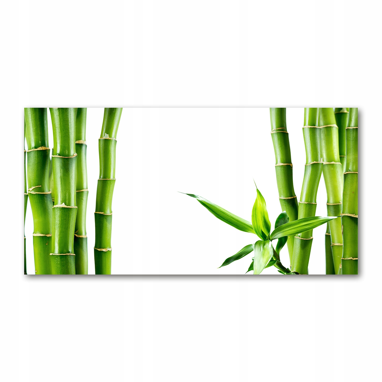 

Foto obraz zdjęcie szkło hartowane Bambus 140x70