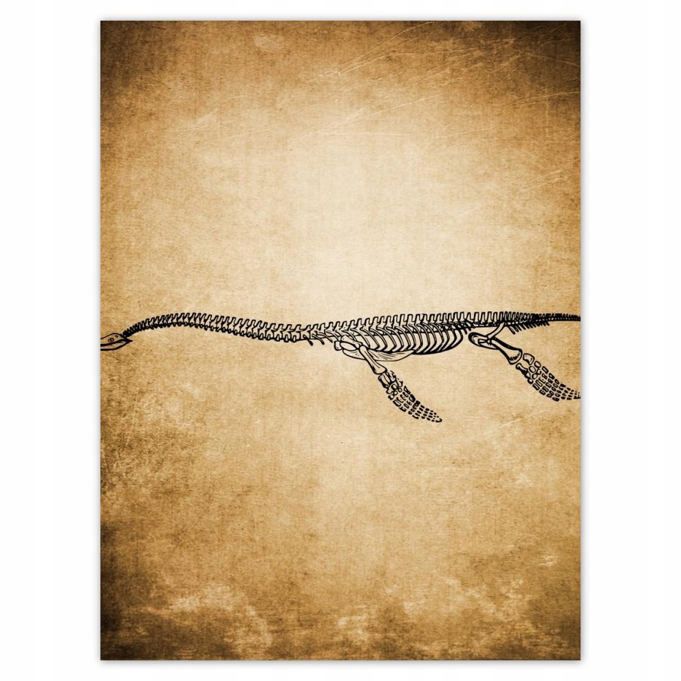

Plakat 30x40 Dinozaur Prehistoria Dino