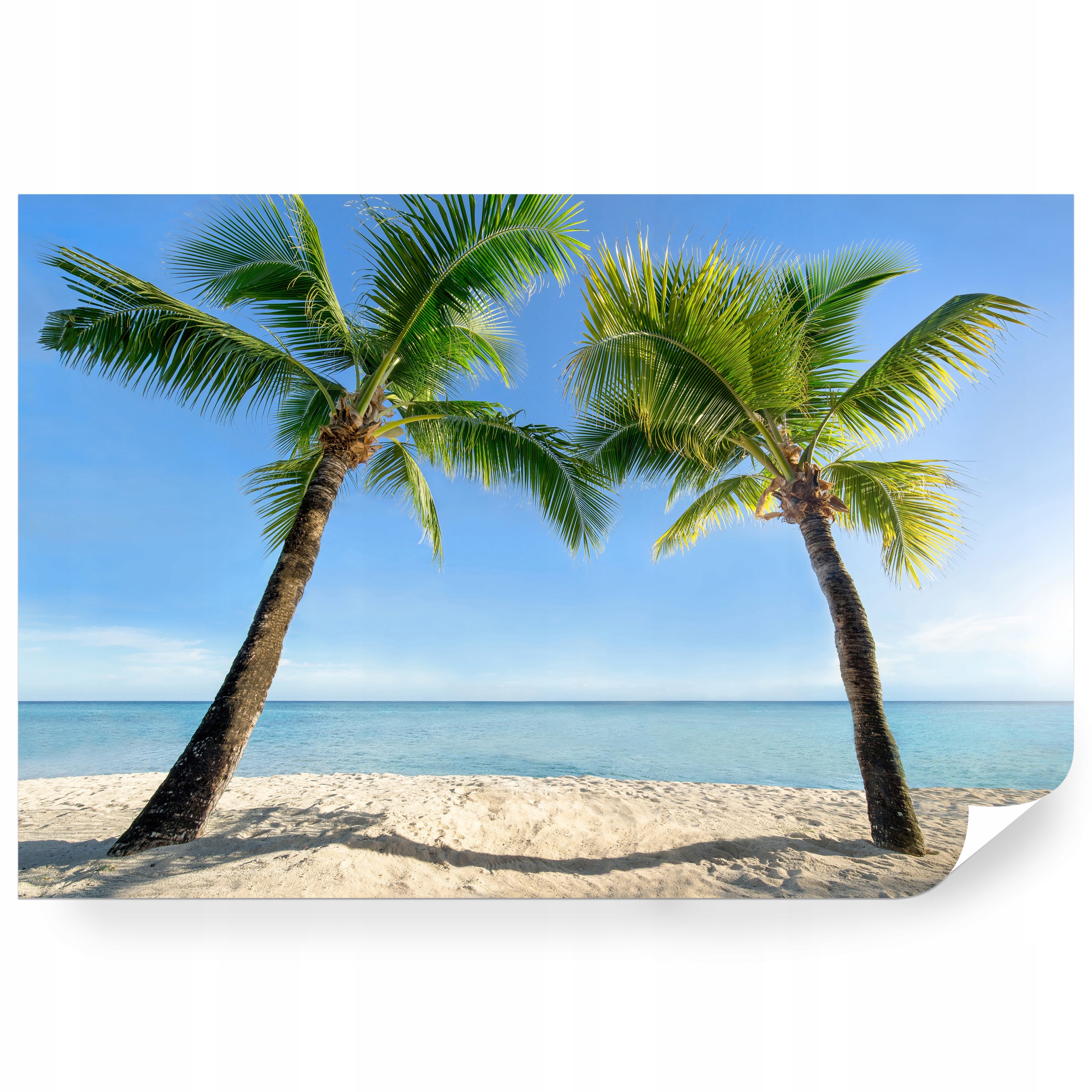 Fototapeta samolepicí Pláž Palmy Moře Písek 3D 400 x 280 cm