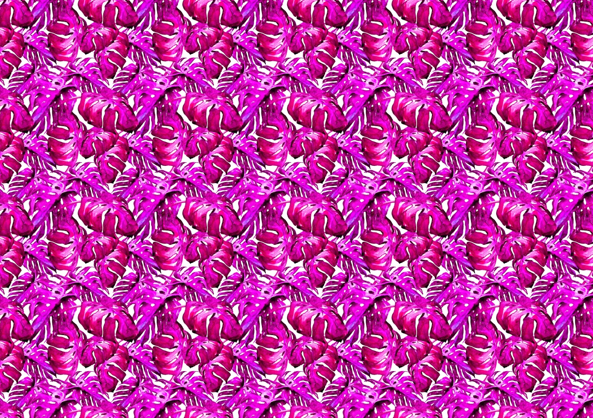 

Fototapeta Flizelinowa Tropikalne liście 312x219