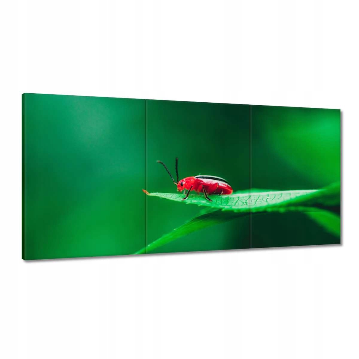 Obrazy 180x90 Zvieratá Zvieratká