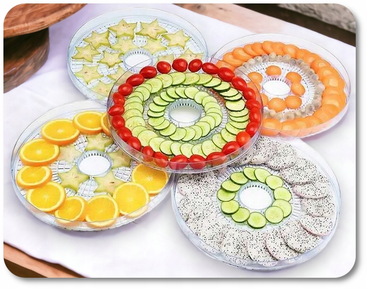 SUSZARKA SPOŻYWCZA DO GRZYBÓW WARZYW OWOCÓW 500W 5 Liczba sit 5