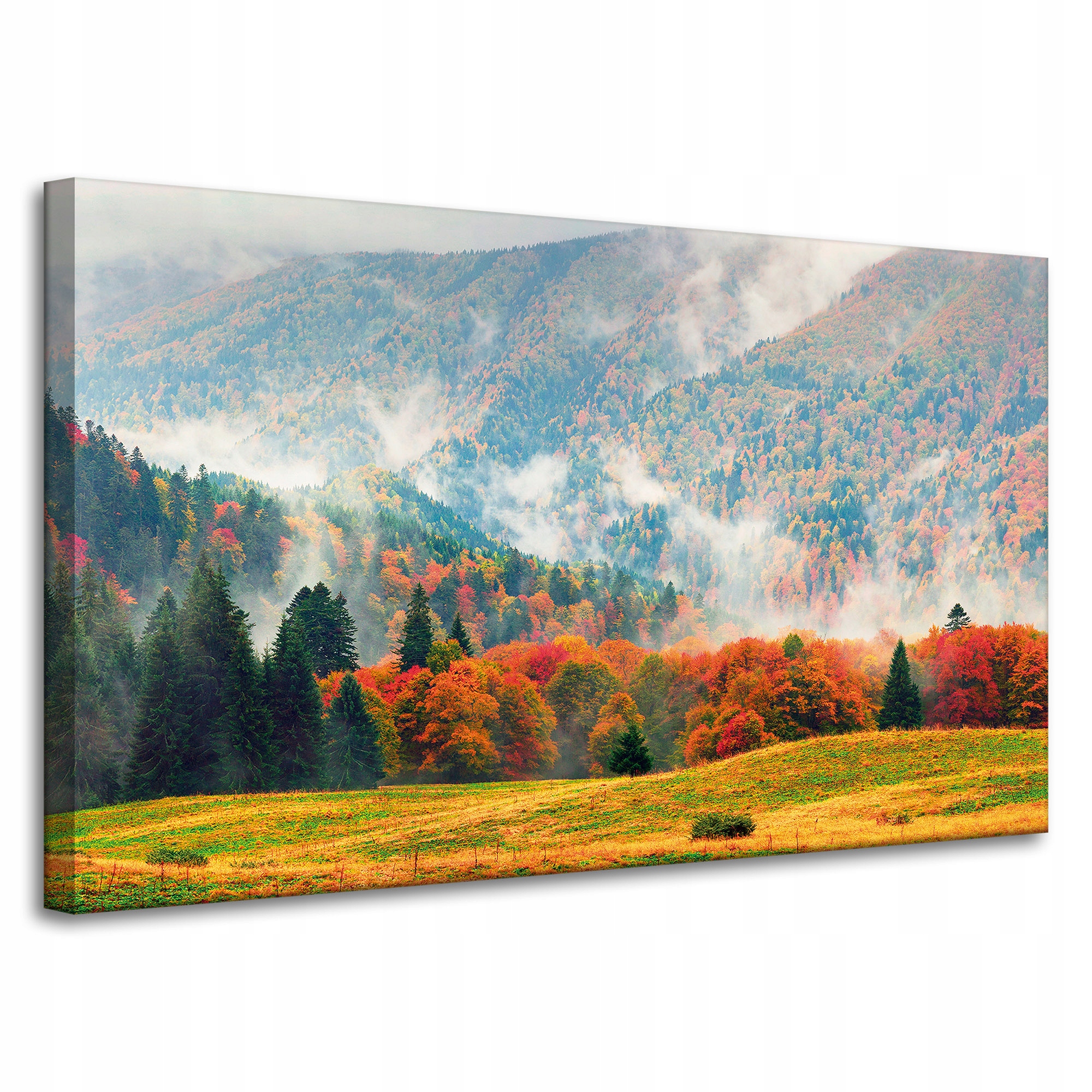Obraz na plátně Hory Lesy Louky Mraky Příroda 100x60 cm