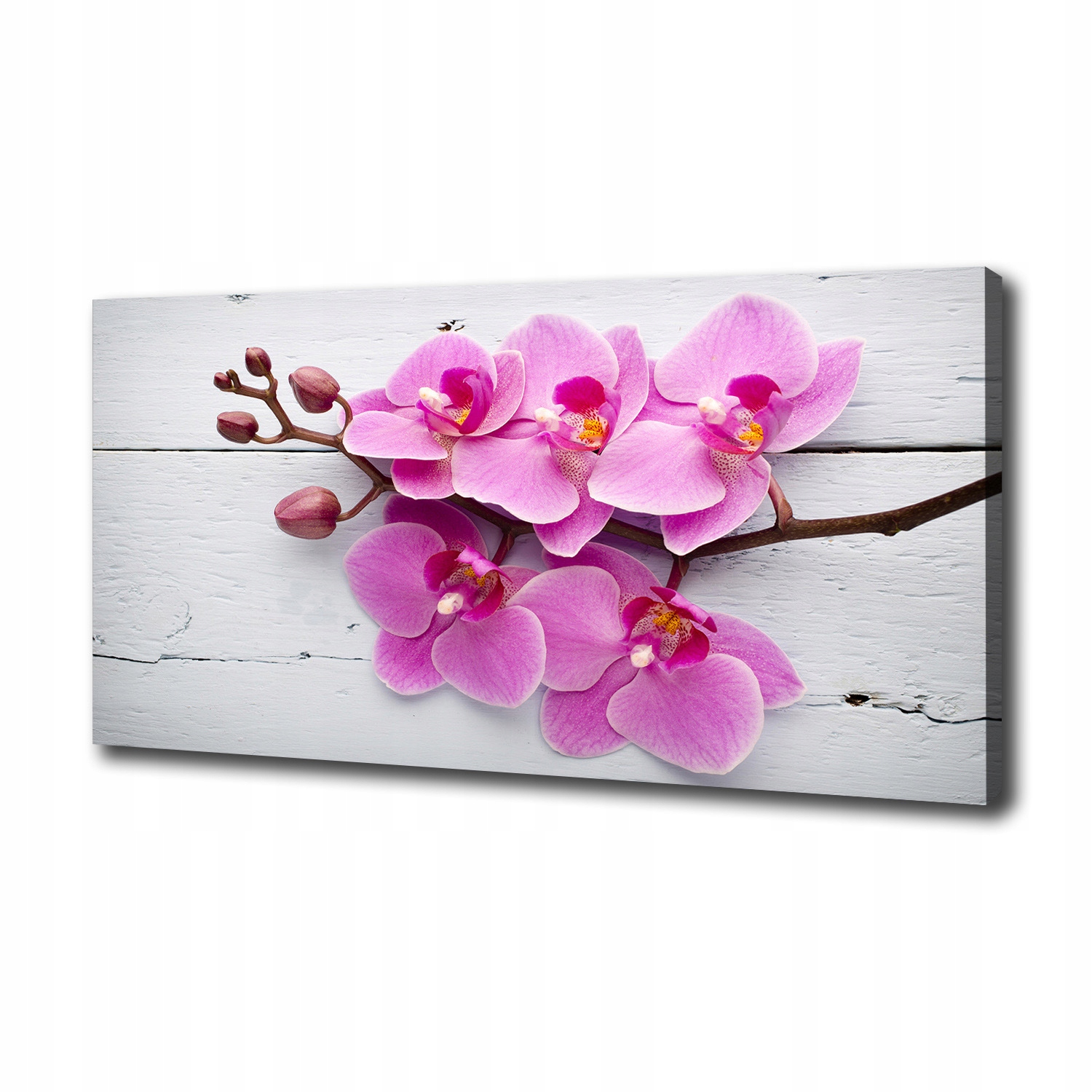 Fotoobraz obraz na plátně Orchidej na dřevě 100x50 cm