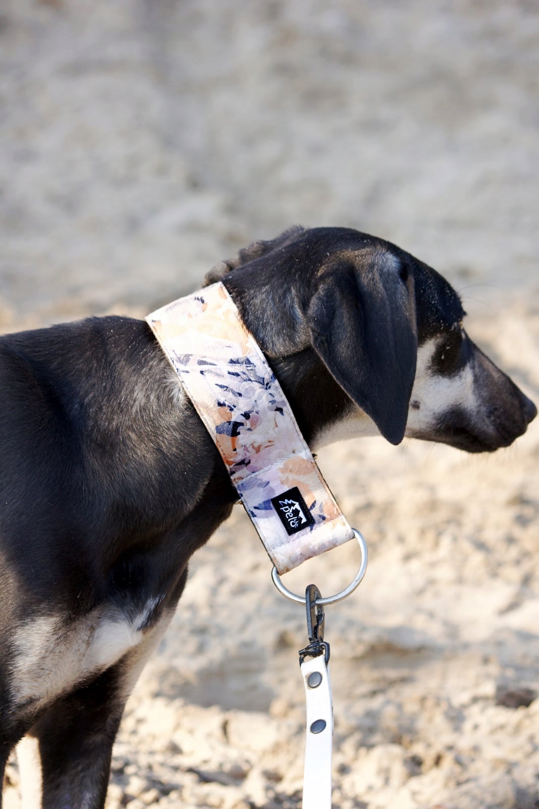 Obroża Martingale Mocna Peloskleppl obw.max 50cm/5cm