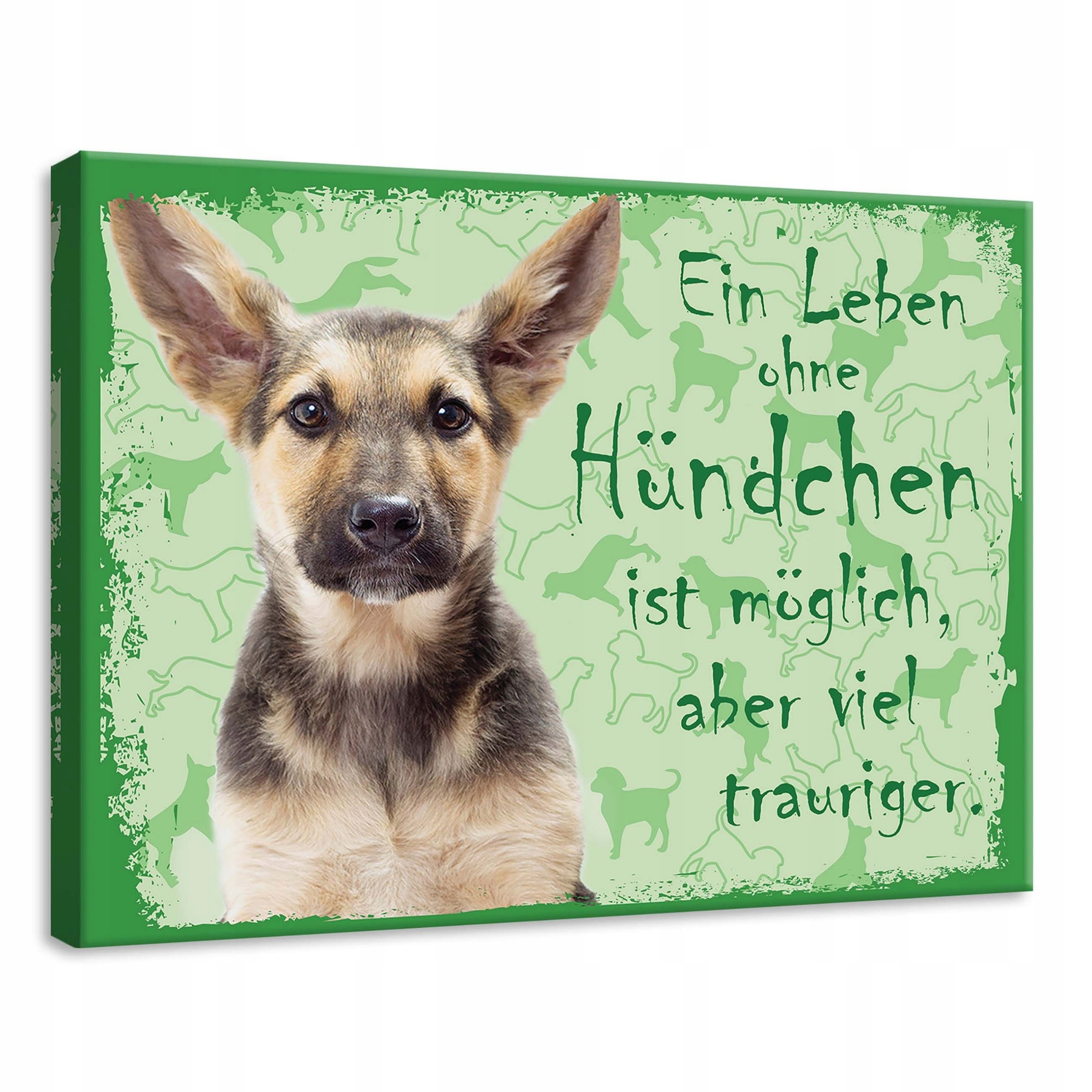 Obraz 70x50 Štěňátko pes domácí zvíře láska život smutný sladký