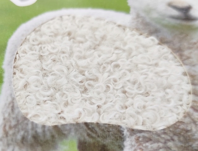 KSIĄŻECZKA KSIĄŻKA POGŁASZCZ ZWIERZĄTKO WIEJSKIE Płeć chłopcy dziewczynki