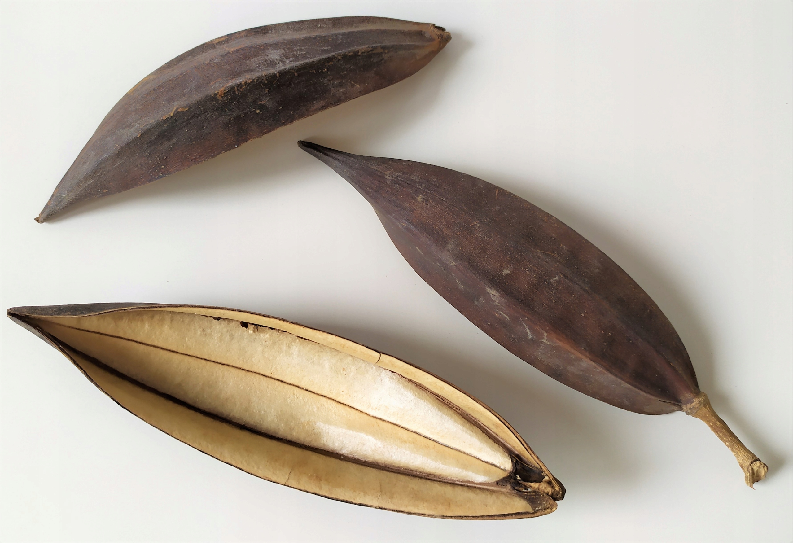 MINIBOAT kryjówka 3 szt.