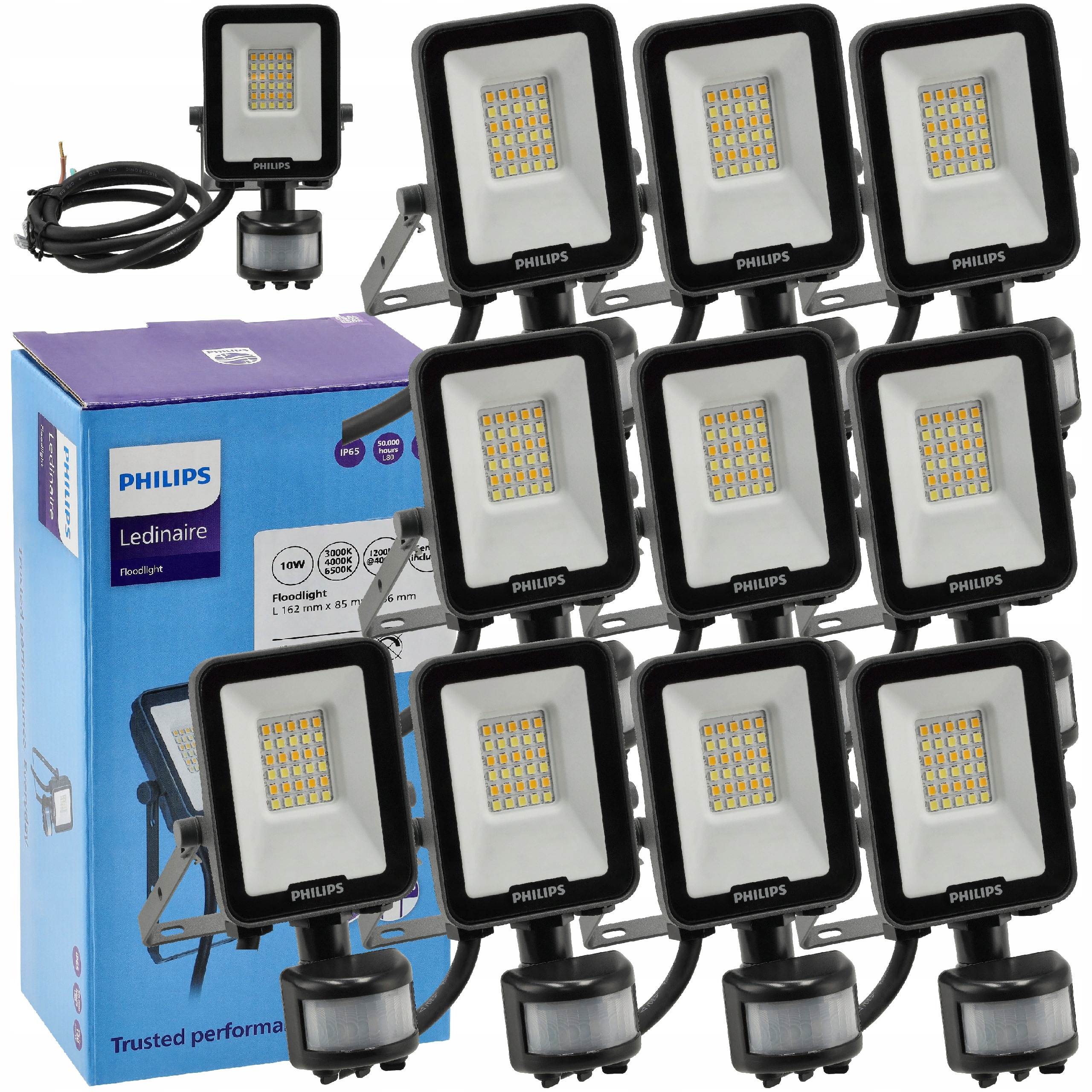 Philips Halogen Vodotěsný Led se senzorem pohybu a soumraku 10W Cct x10