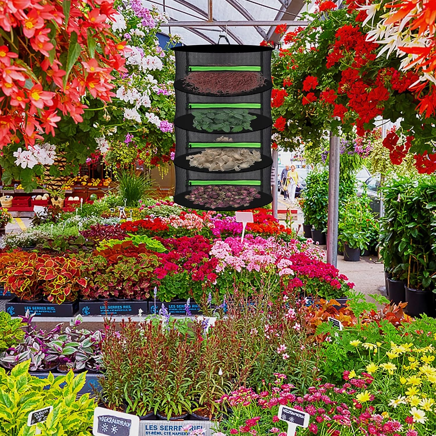 4 WARSTWY SUSZARKI DO ZIÓŁ, SIATKA DO SUSZENIA ROŚLIN WISZĄCYCH, NA WARZYWA Producent inna