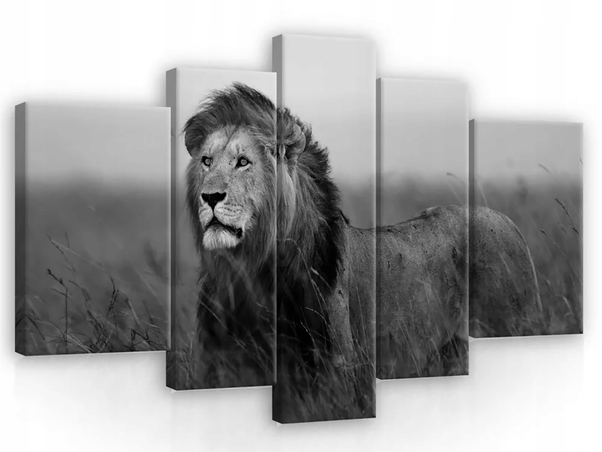 Obraz Na Plátně Canvas 170x100 Lev Černobílý (b&w)