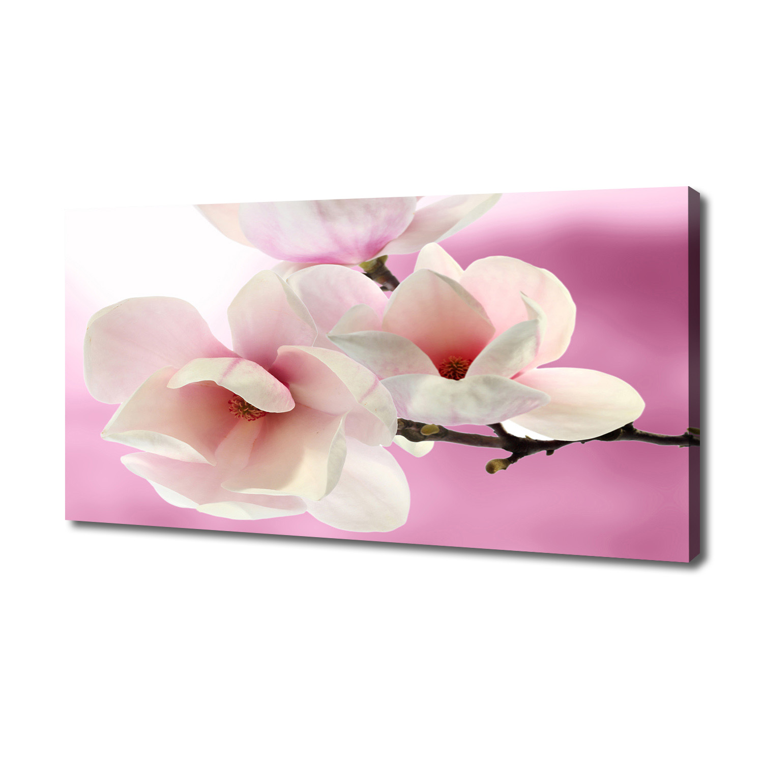 

Foto obraz canvas na ścianę Magnolia 140x70 cm