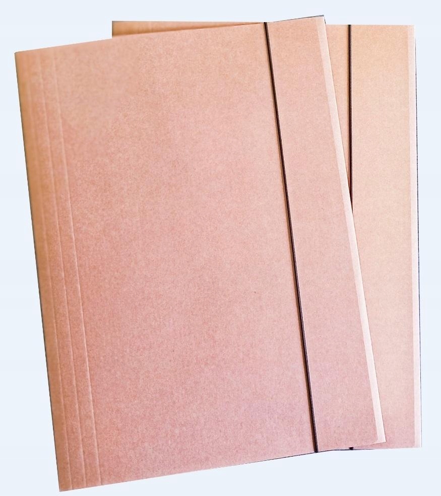 TECZKA A4 EKO KRAFT (10SZT), WEKTOR