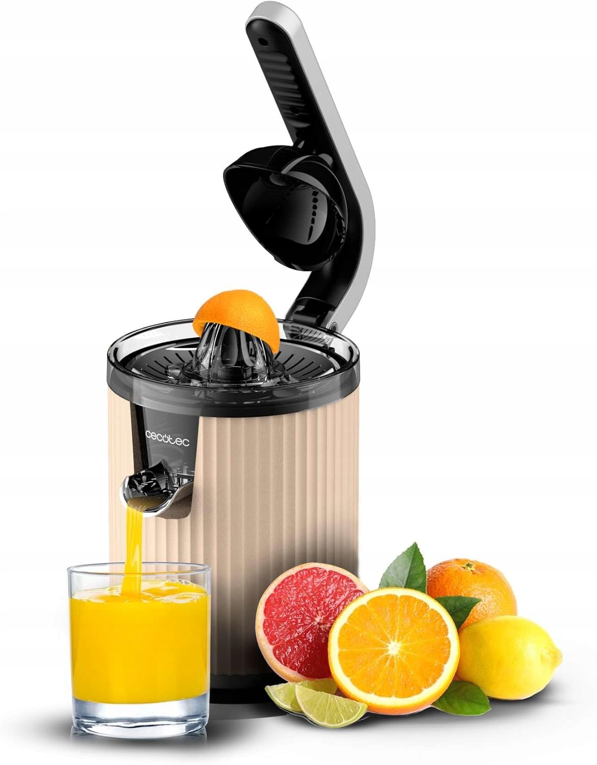 Lis Na Citrusy 600W Pákový Nerezový Filtr 1L