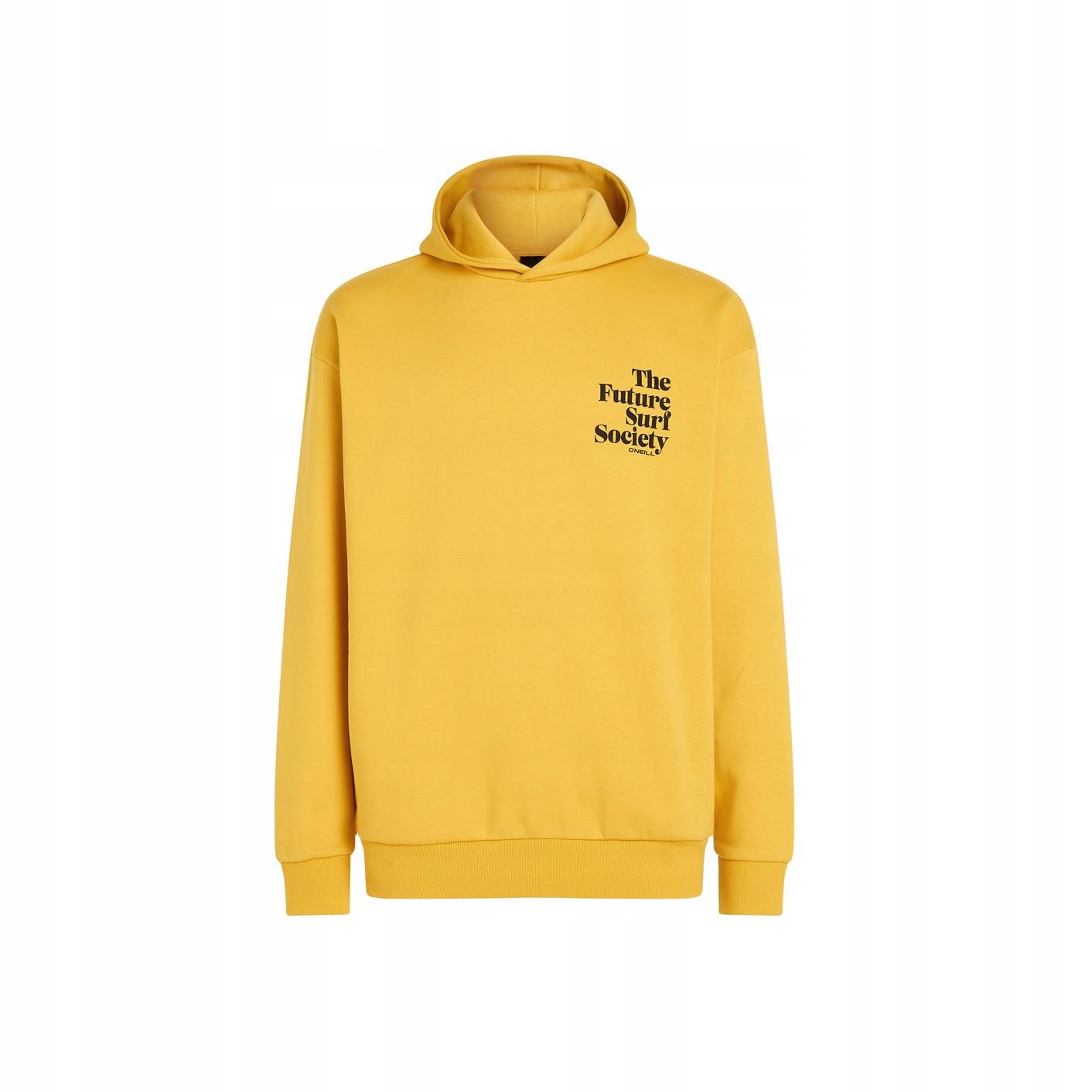 Pánská Mikina Future Surf Society Hoodie S