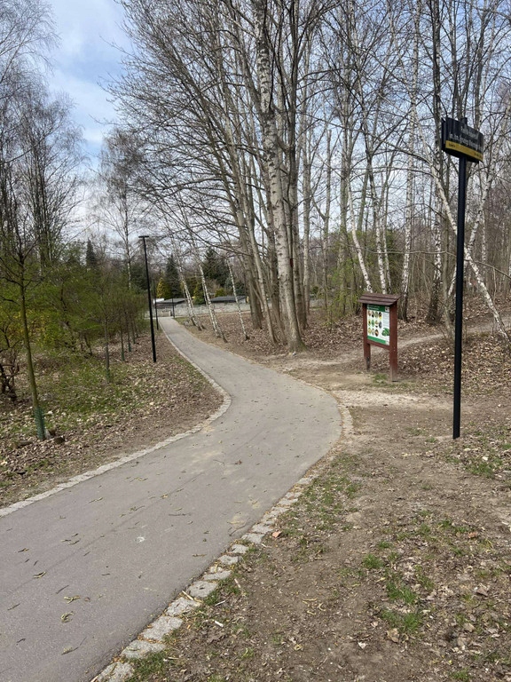 Dom, Katowice, Koszutka, 200 m²