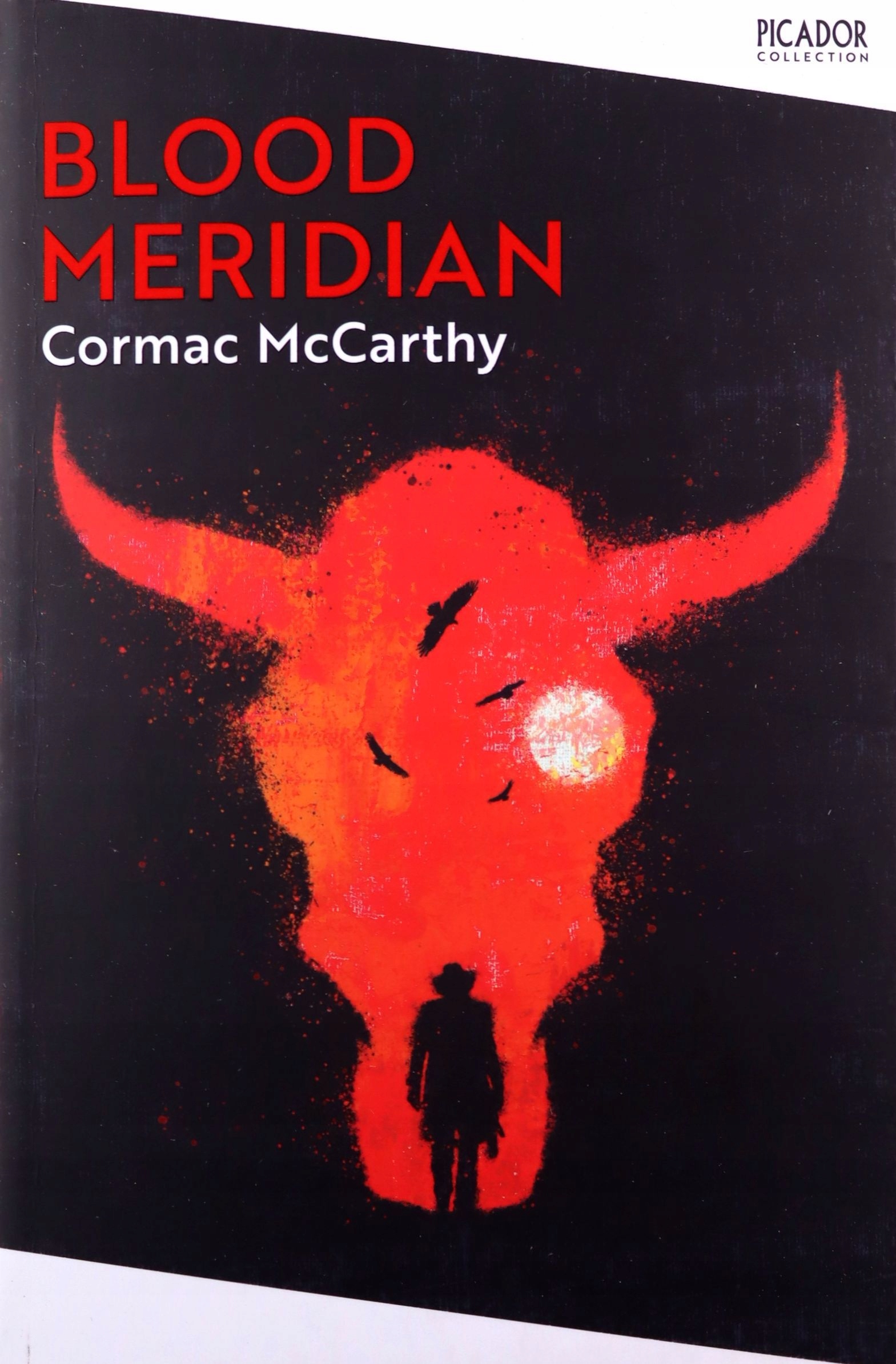 

Blood Meridian: Cormac McCarthy (picador Collectio