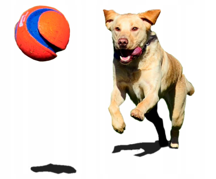 Chuckit! Zabawka Dla Psa Piłka Kick Fetch L