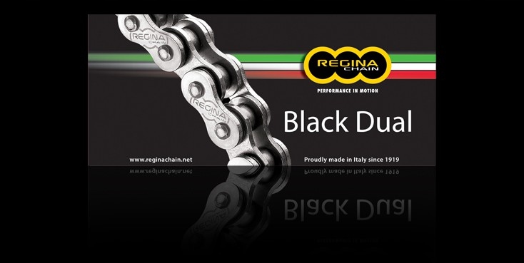 Regina Hnacieho Reťazca 520ZRA (118 Článkov) Z-ring Dual Do 600 CM3 Čierna (za