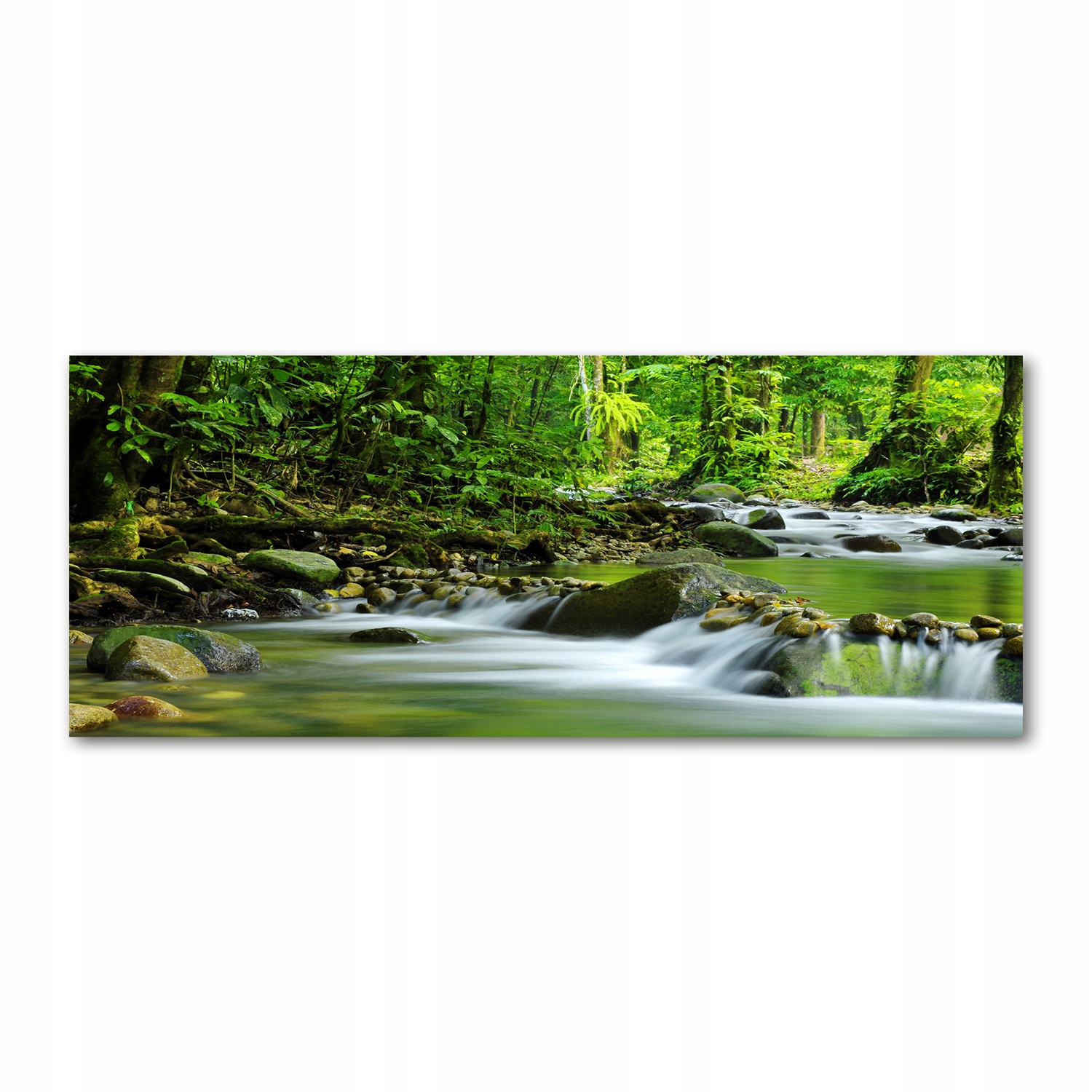 

Foto obraz akryl zdjęcie Górski potok 125x50 cm