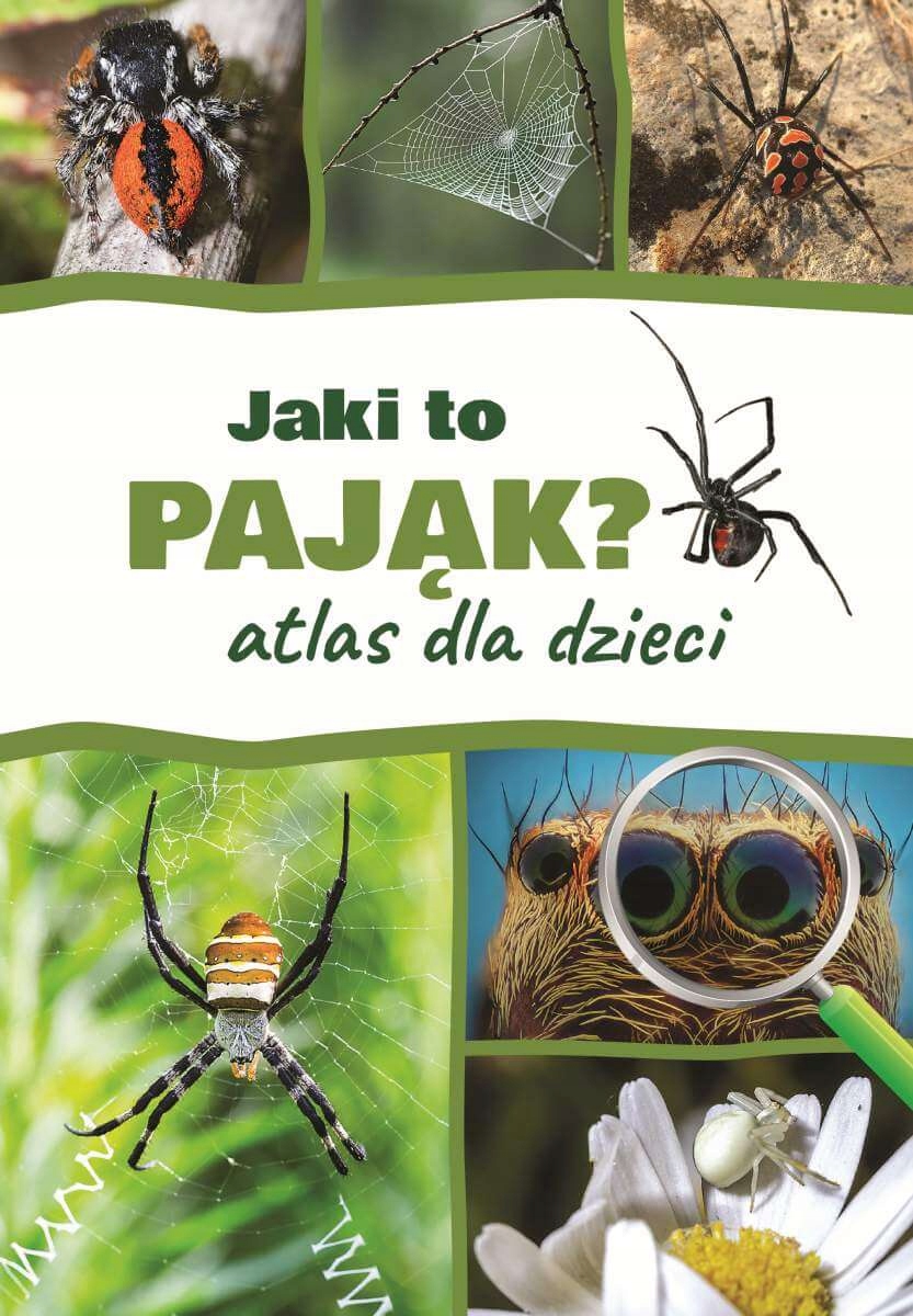 ATLAS DLA DZIECI - Jaki to pająk? PAJĄKI
