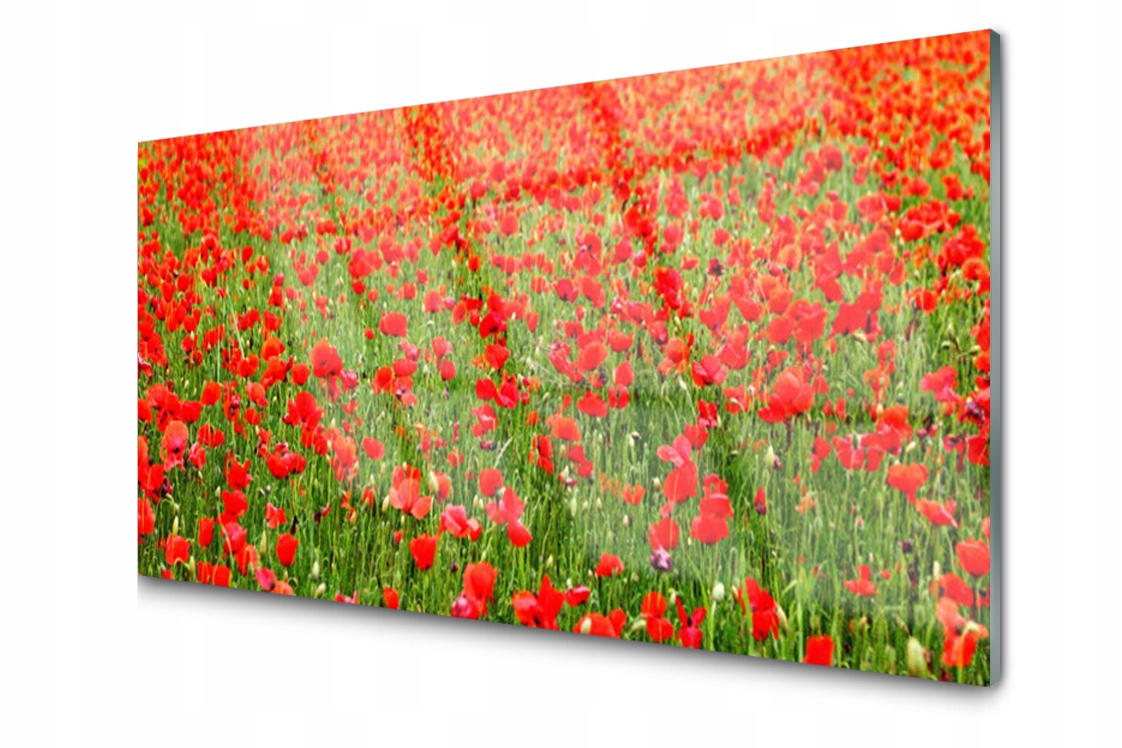 

Panel szklany dekor Maki Roślina 120x60 + Klej