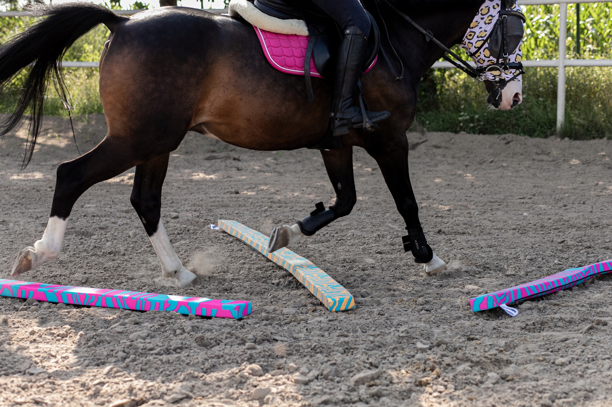 HorseMania- drągi piankowe, bezpieczne, lekie, 3 szt. 3,3mx5 Model DRAG 3,3mx5 komplet