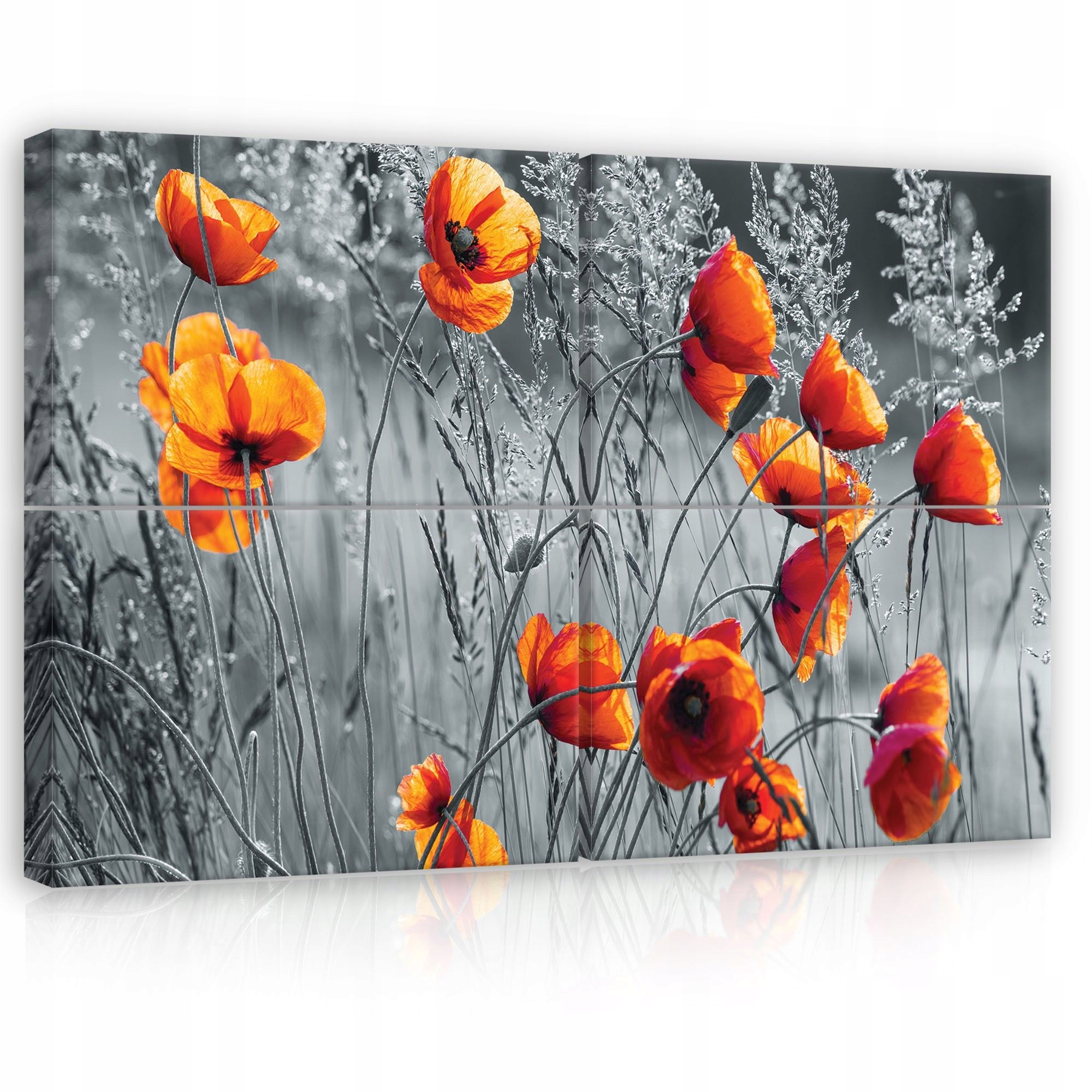 Obraz 120x80 Maky letné pole červený kontrast príroda v dome energia