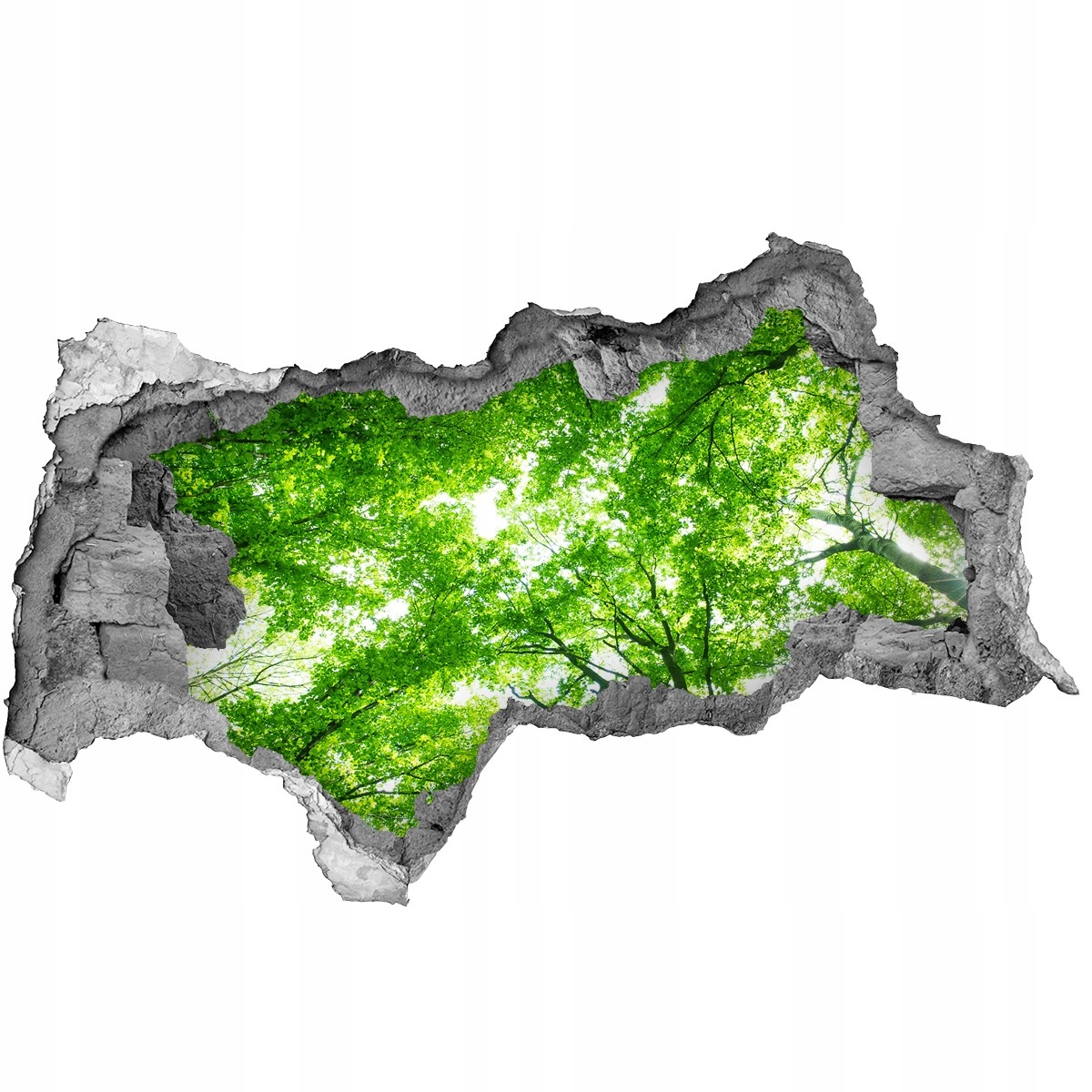 

Samoprzylepna Naklejka fototapeta Zielony las
