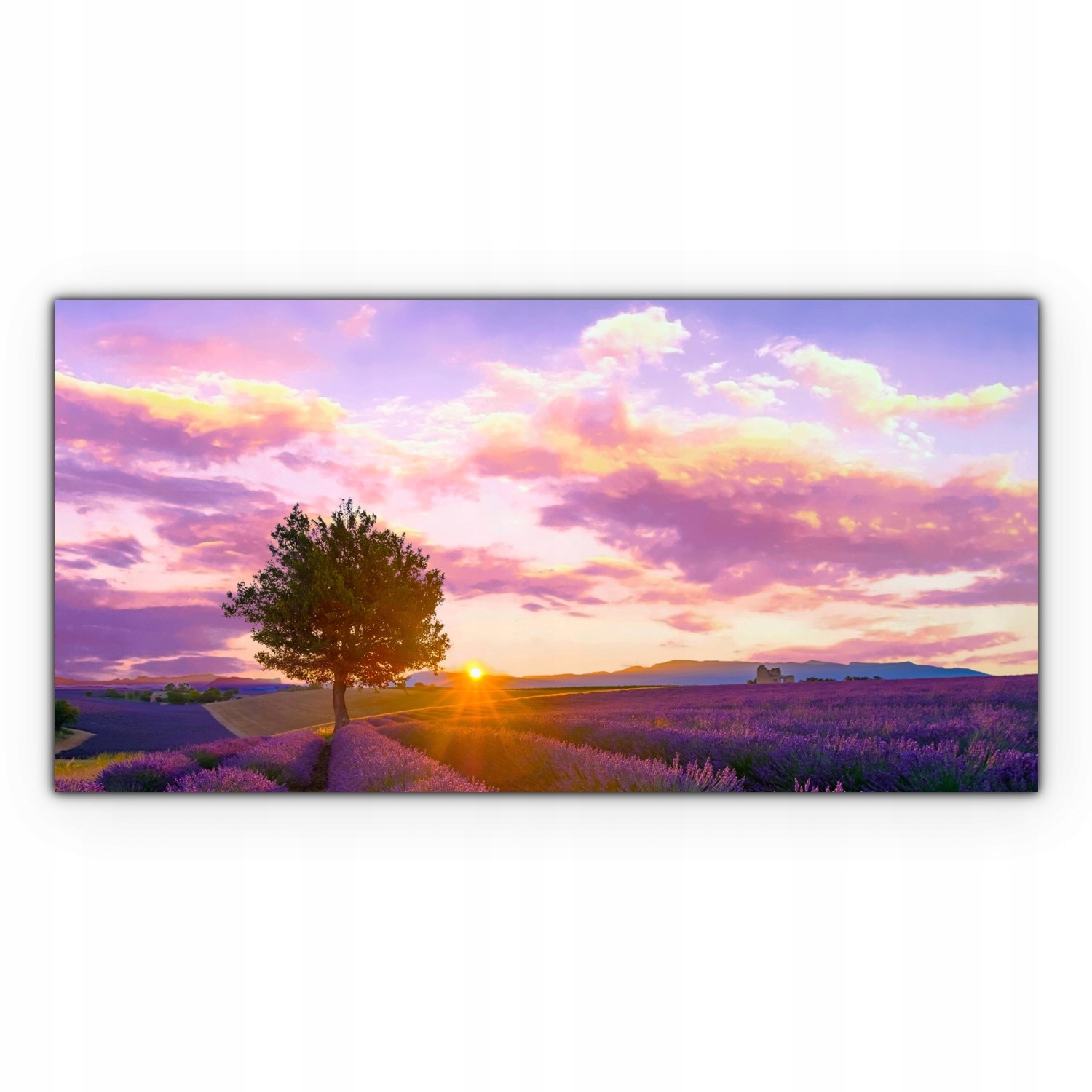 

Obraz na płótnie ścienny 120x60 Pole Lawenda Łąka