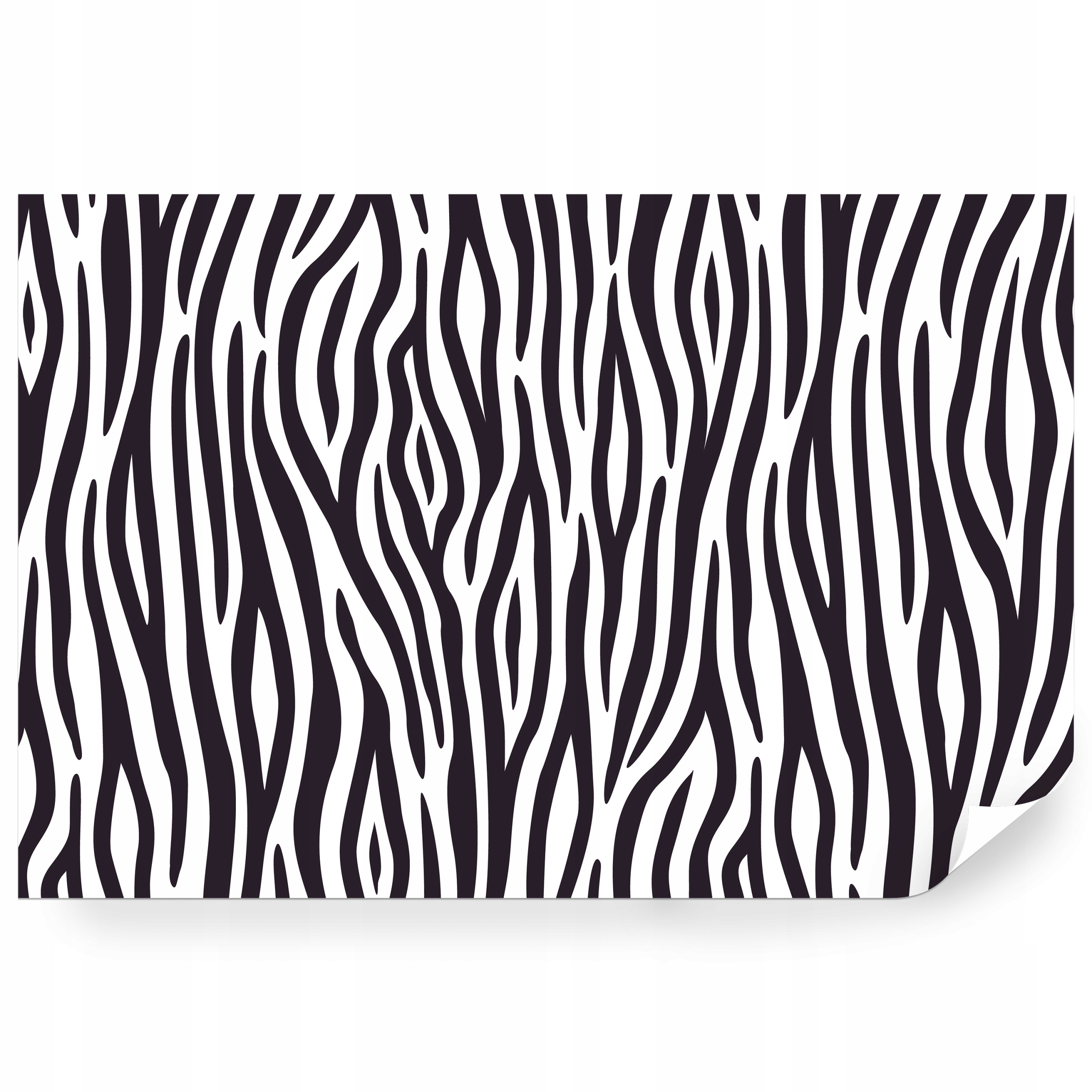 Samolepiaca fototapeta Ilustrácia Zvierací Motív Zebra 368 x 280 cm