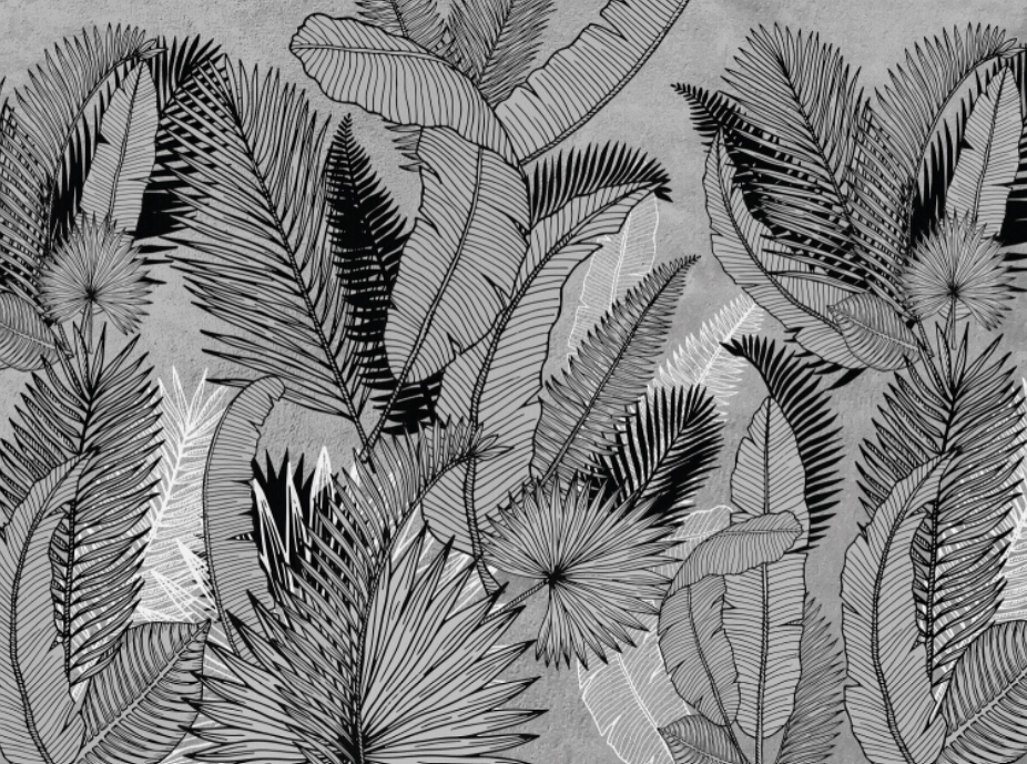 Fototapeta Tropické listy černo-bílé 350 x 260 cm struktura 350 g