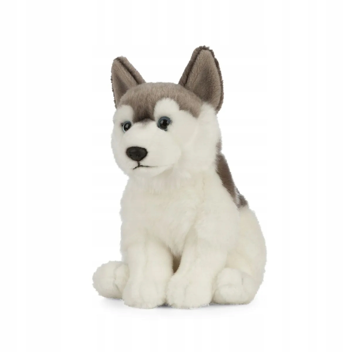 Pluszak pies Husky Living Nature 26 cm