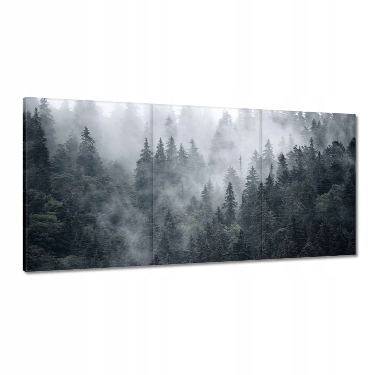 Obrazy 180x90 Hmlistá horská krajina