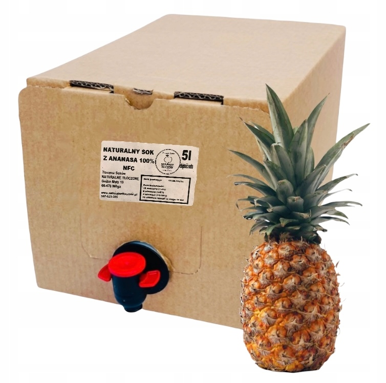 Levně Ananasový džus 100% 5 l (v Kartonu) přírodní, Nfc