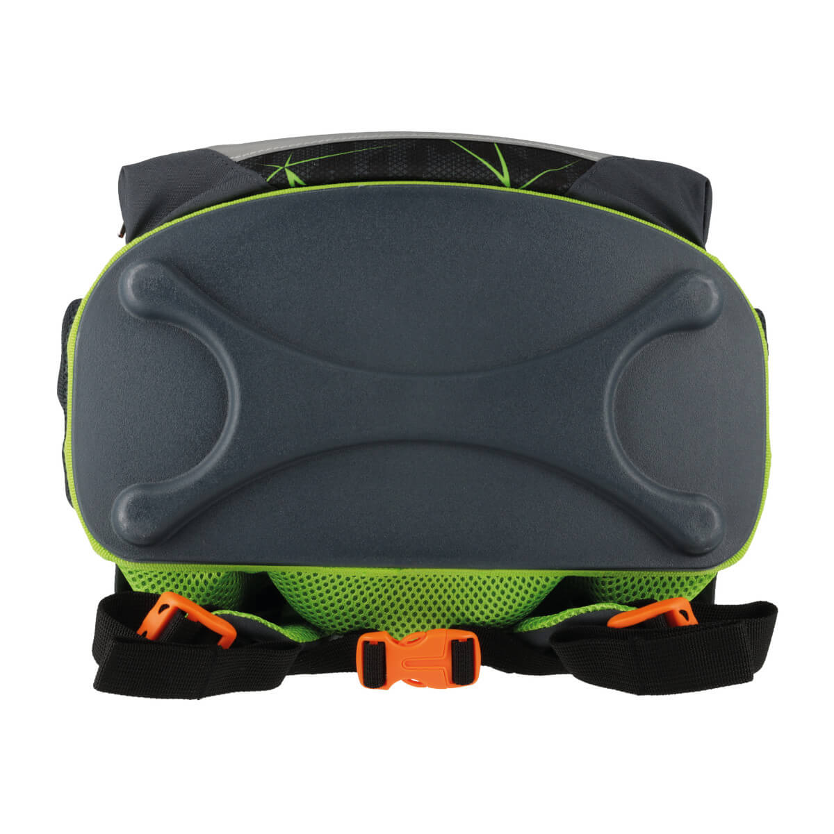 Zestaw tornister plecak szkolny Loop Plus Wild Life czarna pantera HERLITZ Płeć chłopcy dziewczynki