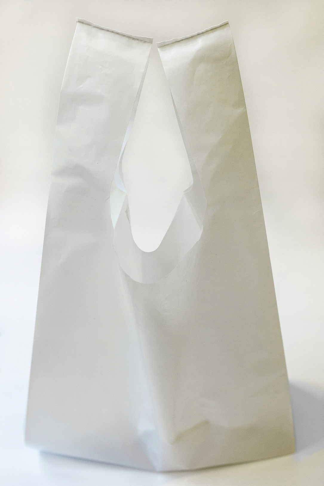 

Torebki foliowe zrywki Ldpe 25/6x45 5kg 51um 50sz