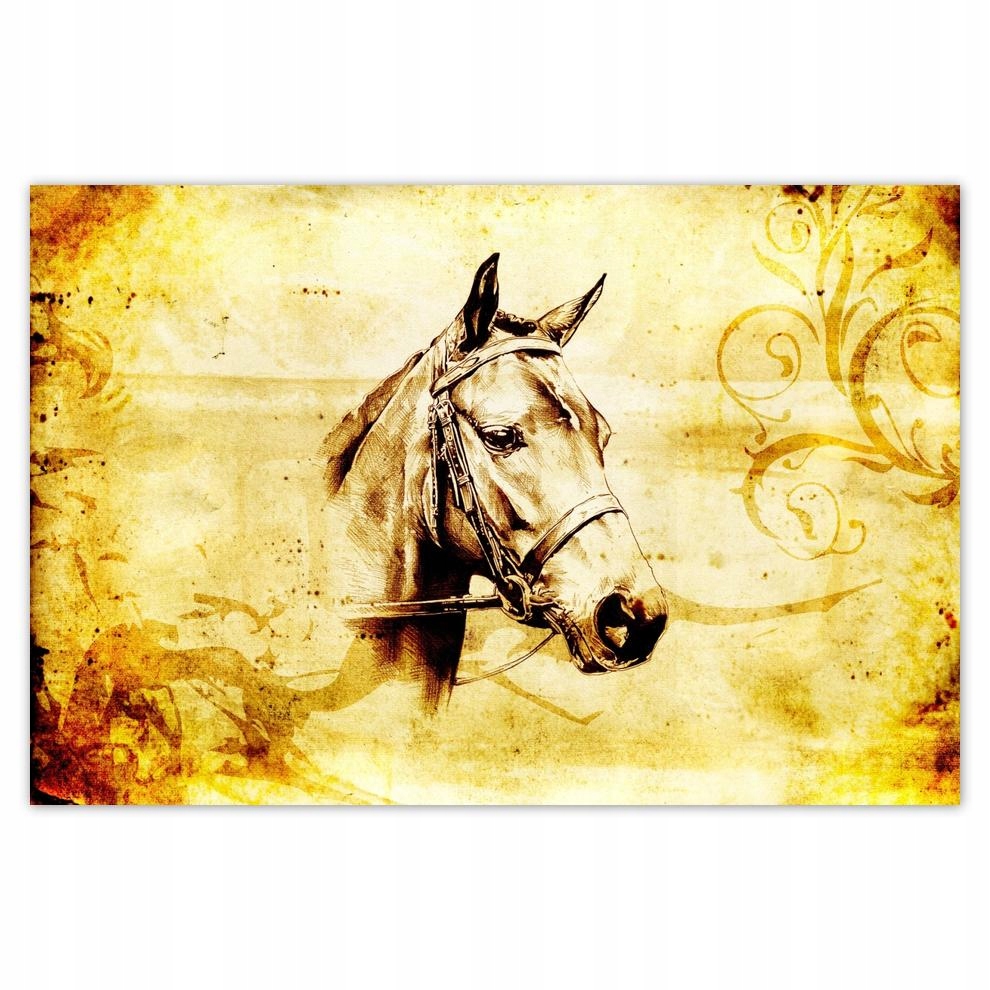 

Plakat 93x62 Głowa konia